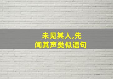 未见其人,先闻其声类似语句