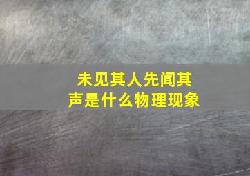 未见其人先闻其声是什么物理现象