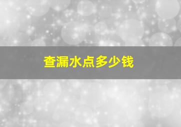 查漏水点多少钱