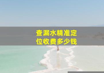 查漏水精准定位收费多少钱