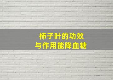 柿子叶的功效与作用能降血糖