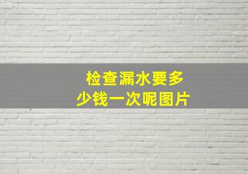 检查漏水要多少钱一次呢图片