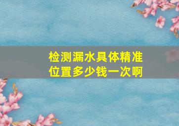 检测漏水具体精准位置多少钱一次啊