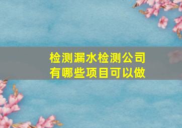 检测漏水检测公司有哪些项目可以做