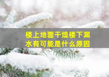 楼上地面干燥楼下漏水有可能是什么原因