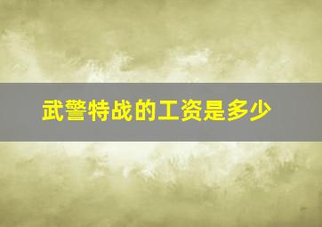 武警特战的工资是多少