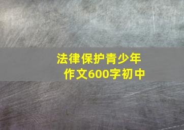 法律保护青少年作文600字初中