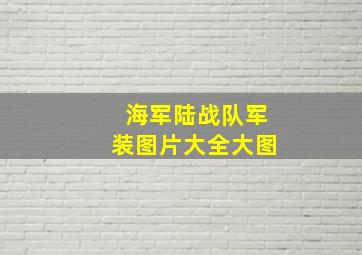 海军陆战队军装图片大全大图