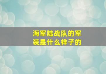 海军陆战队的军装是什么样子的