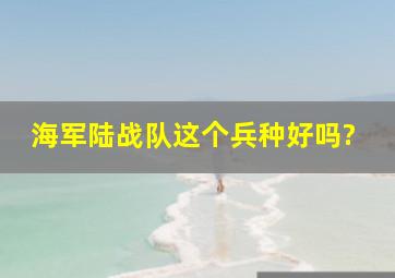 海军陆战队这个兵种好吗?