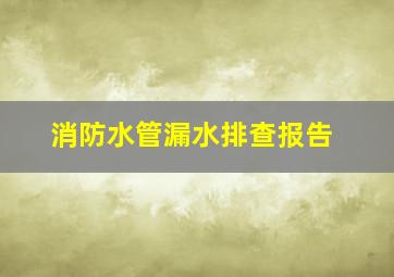 消防水管漏水排查报告