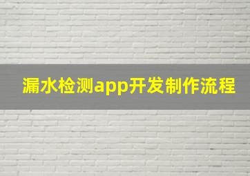 漏水检测app开发制作流程