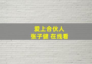 爱上合伙人 张子健 在线看