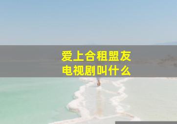 爱上合租盟友电视剧叫什么