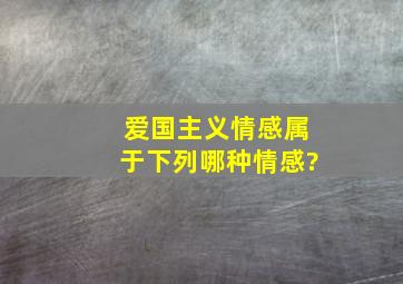 爱国主义情感属于下列哪种情感?