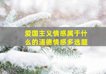 爱国主义情感属于什么的道德情感多选题