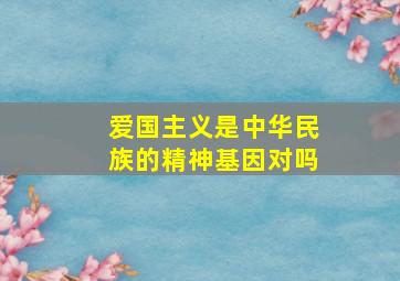 爱国主义是中华民族的精神基因对吗