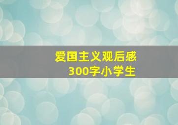 爱国主义观后感300字小学生