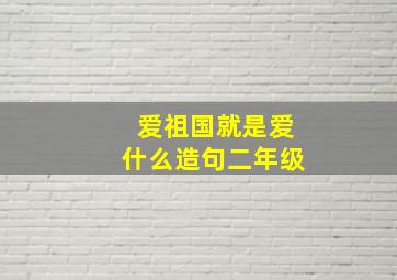 爱祖国就是爱什么造句二年级