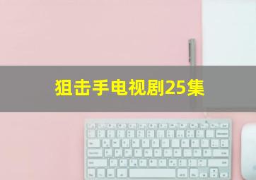 狙击手电视剧25集