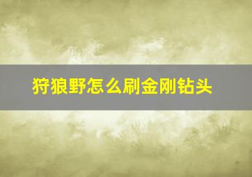 狩狼野怎么刷金刚钻头