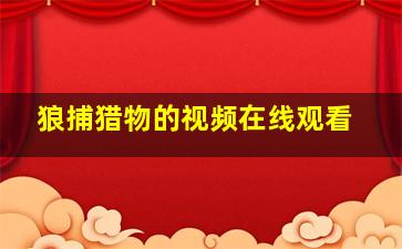 狼捕猎物的视频在线观看