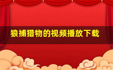 狼捕猎物的视频播放下载