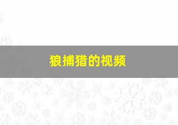 狼捕猎的视频