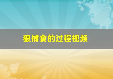 狼捕食的过程视频