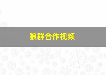 狼群合作视频