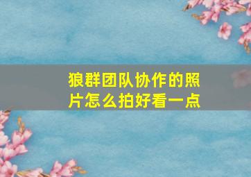 狼群团队协作的照片怎么拍好看一点