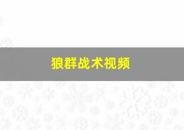 狼群战术视频