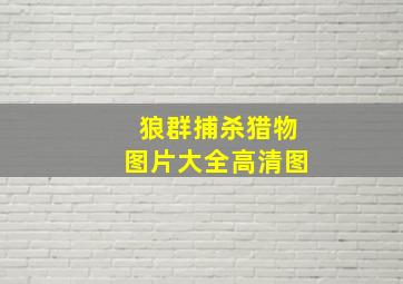 狼群捕杀猎物图片大全高清图