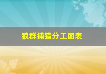 狼群捕猎分工图表