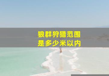 狼群狩猎范围是多少米以内