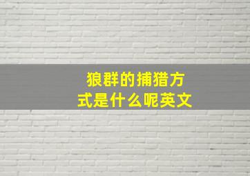 狼群的捕猎方式是什么呢英文