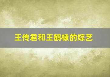 王传君和王鹤棣的综艺