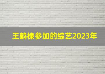 王鹤棣参加的综艺2023年