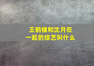 王鹤棣和沈月在一起的综艺叫什么