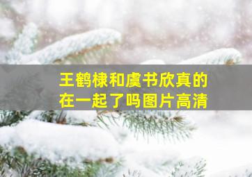 王鹤棣和虞书欣真的在一起了吗图片高清