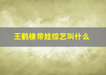 王鹤棣带娃综艺叫什么