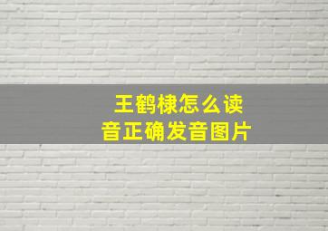 王鹤棣怎么读音正确发音图片