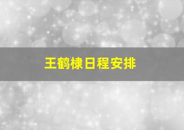 王鹤棣日程安排