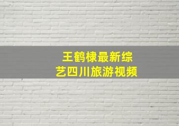 王鹤棣最新综艺四川旅游视频