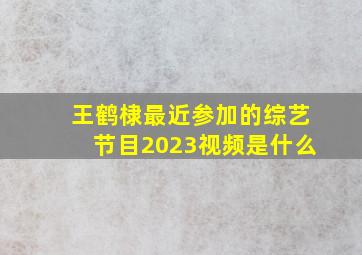 王鹤棣最近参加的综艺节目2023视频是什么