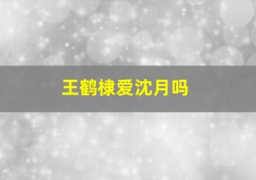 王鹤棣爱沈月吗