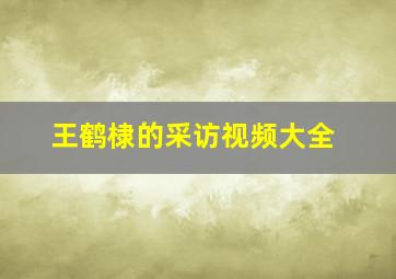 王鹤棣的采访视频大全