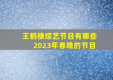 王鹤棣综艺节目有哪些2023年春晚的节目