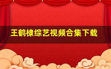 王鹤棣综艺视频合集下载