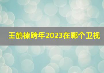 王鹤棣跨年2023在哪个卫视